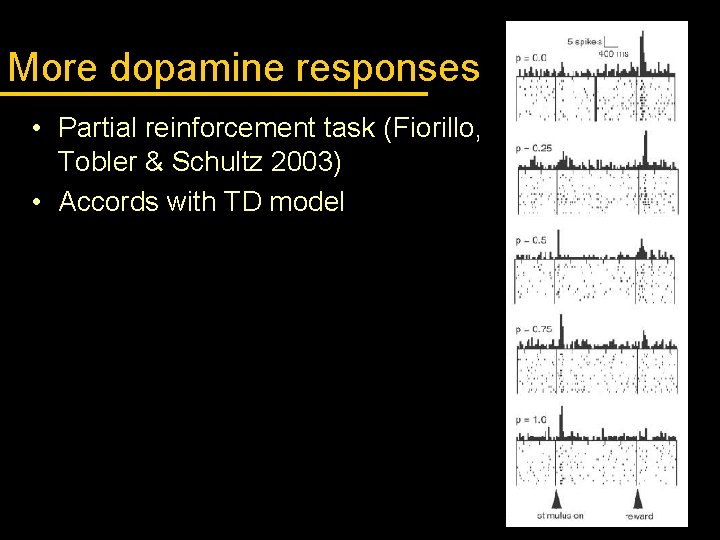 More dopamine responses • Partial reinforcement task (Fiorillo, Tobler & Schultz 2003) • Accords