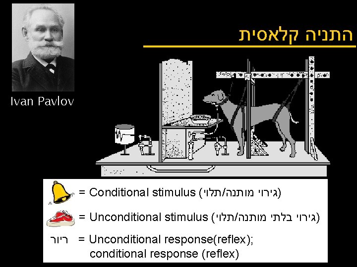  התניה קלאסית Ivan Pavlov = Conditional stimulus ( תלוי / )גירוי מותנה =