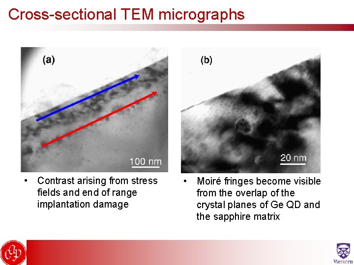 Cross-sectional TEM micrographs • Contrast arising from stress fields and end of range implantation