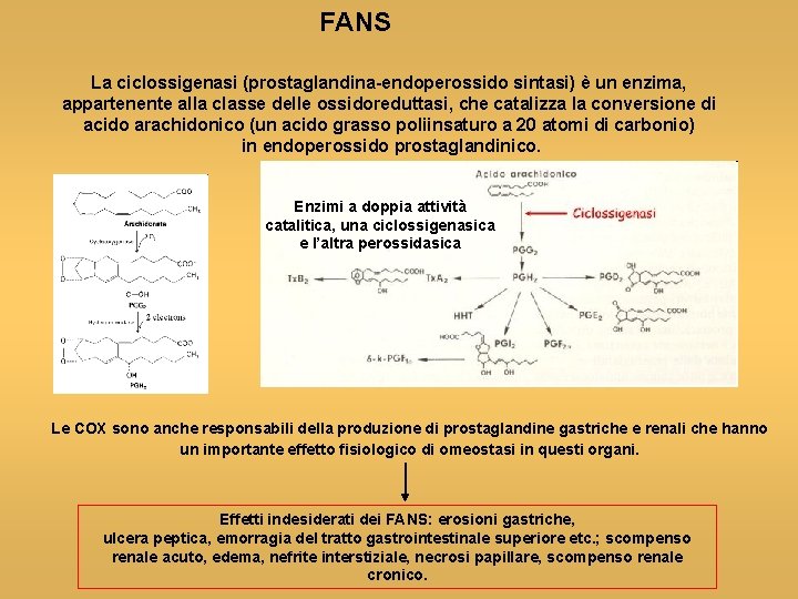 FANS La ciclossigenasi (prostaglandina-endoperossido sintasi) è un enzima, appartenente alla classe delle ossidoreduttasi, che