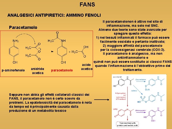 FANS ANALGESICI ANTIPIRETICI: AMMINO FENOLI Paracetamolo p-aminofenolo anidride acetica paracetamolo Il paracetamolonon è attivo