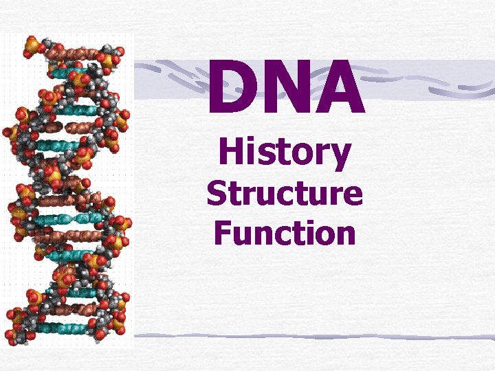 DNA History Structure Function 