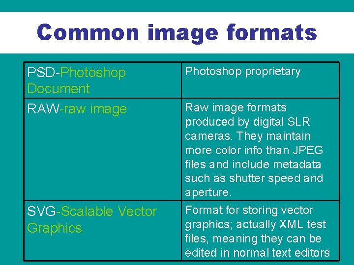 Common image formats PSD-Photoshop Document RAW-raw image SVG-Scalable Vector Graphics Photoshop proprietary Raw image