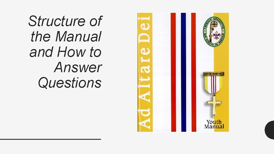 Structure of the Manual and How to Answer Questions 