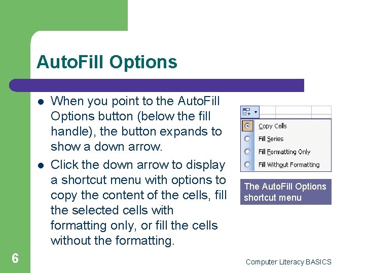 Auto Fill Feature Key Applications Module Lesson 17 Organizing Worksheets Computer