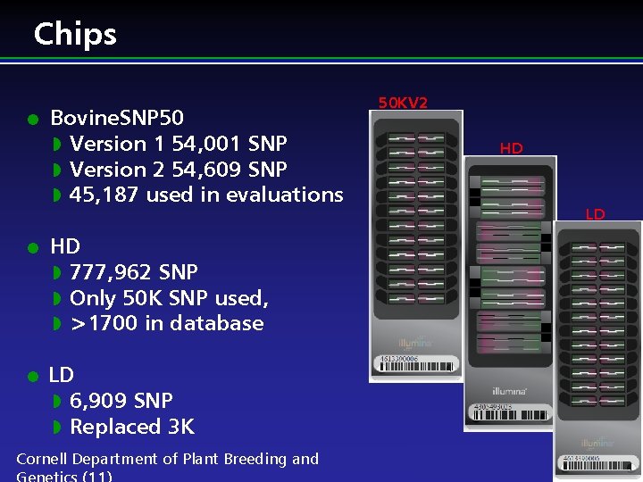 Chips l l l Bovine. SNP 50 w Version 1 54, 001 SNP w