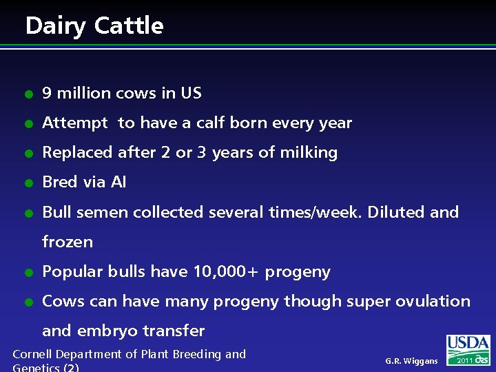 Dairy Cattle l 9 million cows in US l Attempt to have a calf