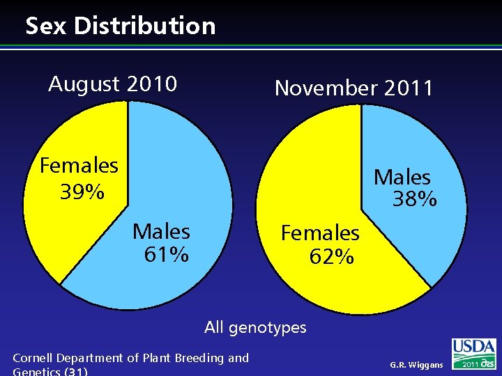 Sex Distribution August 2010 November 2011 Females 39% Males 38% Males 61% Females 62%