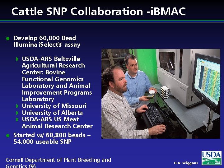 Cattle SNP Collaboration -i. BMAC l Develop 60, 000 Bead Illumina i. Select® assay
