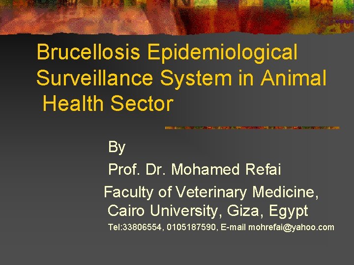 Brucellosis Epidemiological Surveillance System in Animal Health Sector By Prof. Dr. Mohamed Refai Faculty