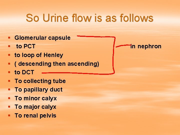 So Urine flow is as follows § § § § § Glomerular capsule to