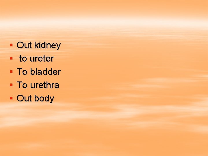 § § § Out kidney to ureter To bladder To urethra Out body 