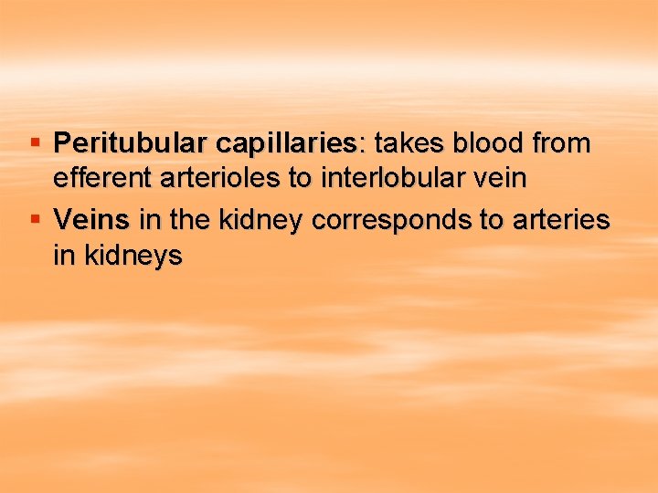 § Peritubular capillaries: takes blood from efferent arterioles to interlobular vein § Veins in