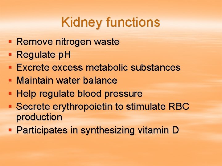 Kidney functions § § § Remove nitrogen waste Regulate p. H Excrete excess metabolic