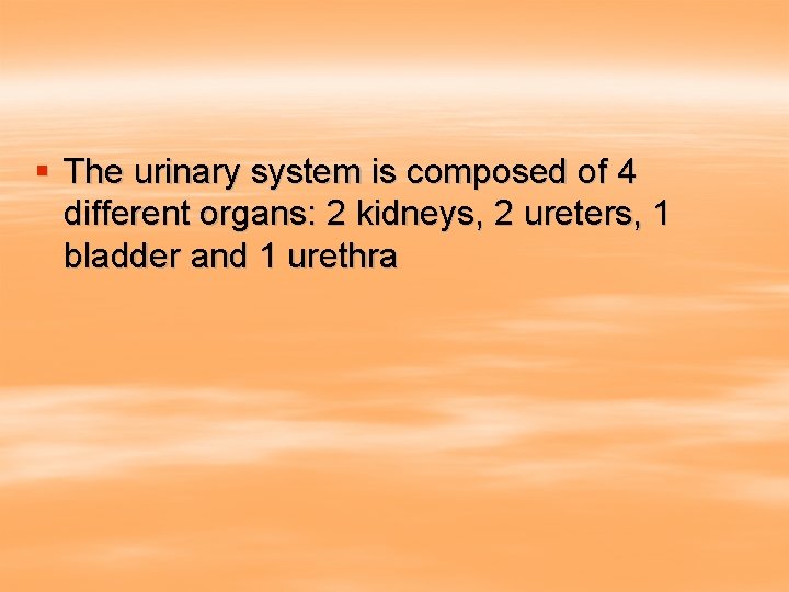 § The urinary system is composed of 4 different organs: 2 kidneys, 2 ureters,