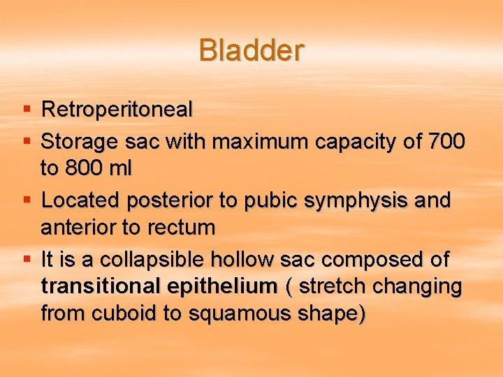 Bladder § Retroperitoneal § Storage sac with maximum capacity of 700 to 800 ml