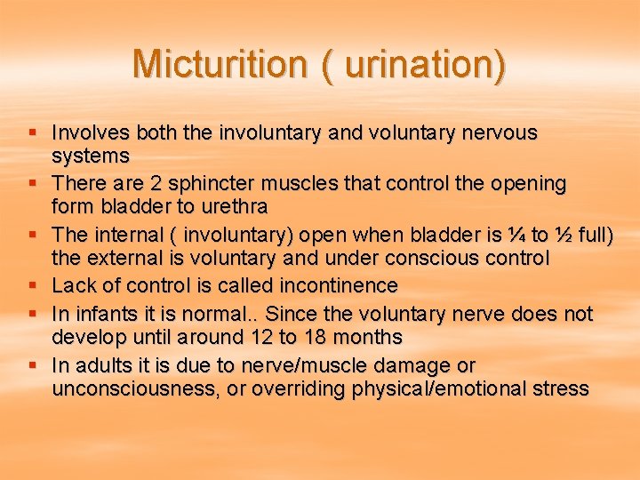 Micturition ( urination) § Involves both the involuntary and voluntary nervous systems § There