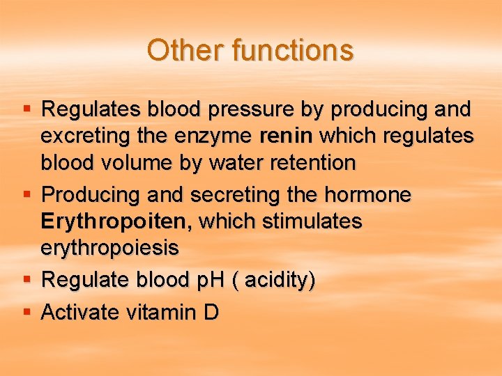 Other functions § Regulates blood pressure by producing and excreting the enzyme renin which