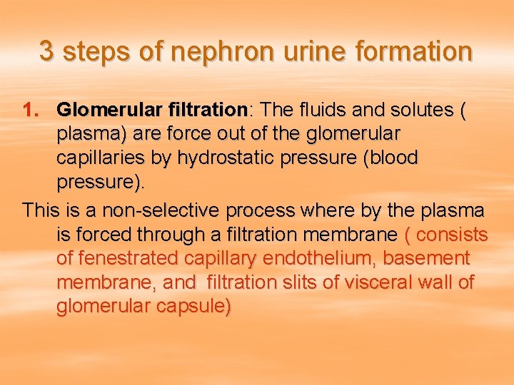 3 steps of nephron urine formation 1. Glomerular filtration: The fluids and solutes (