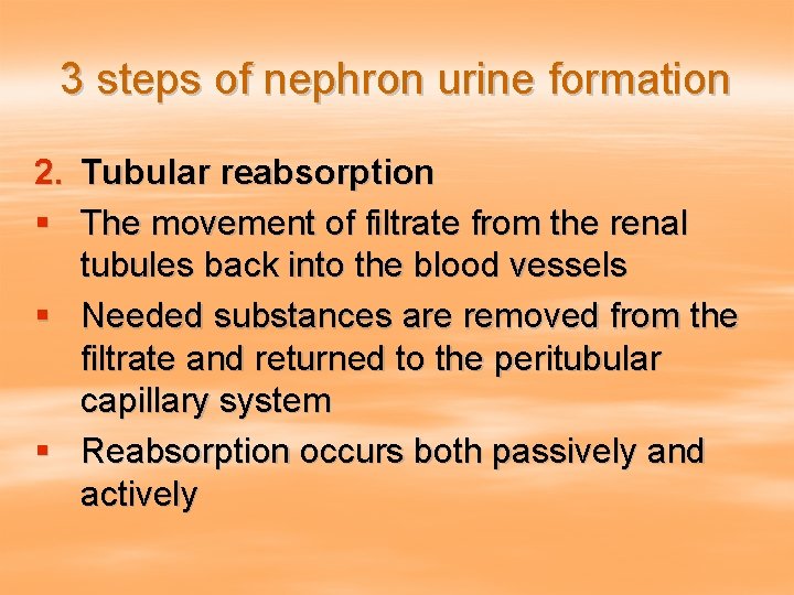 3 steps of nephron urine formation 2. Tubular reabsorption § The movement of filtrate