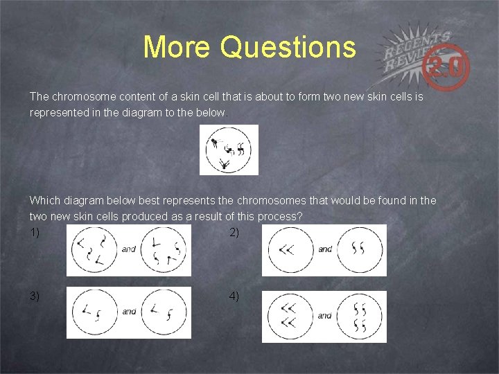 More Questions The chromosome content of a skin cell that is about to form