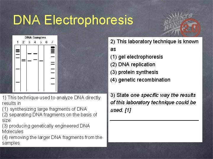 DNA Electrophoresis 2) This laboratory technique is known as (1) gel electrophoresis (2) DNA