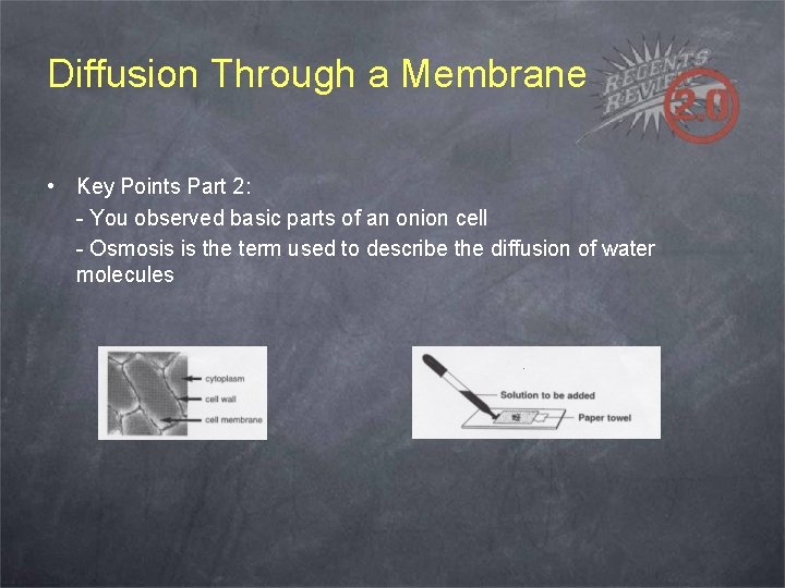 Diffusion Through a Membrane • Key Points Part 2: - You observed basic parts