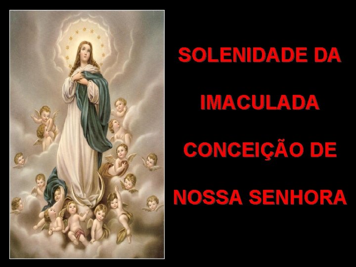 SOLENIDADE DA IMACULADA CONCEIÇÃO DE NOSSA SENHORA 