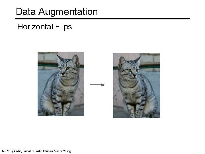 Data Augmentation Horizontal Flips Fei-Fei Li & Justin Johnson & Serena Yeung Fei-Fei Li