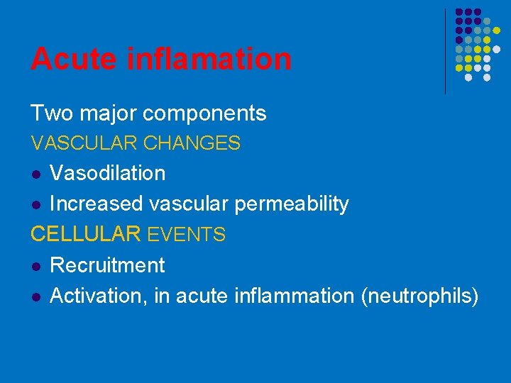 Acute inflamation Two major components VASCULAR CHANGES Vasodilation l Increased vascular permeability CELLULAR EVENTS