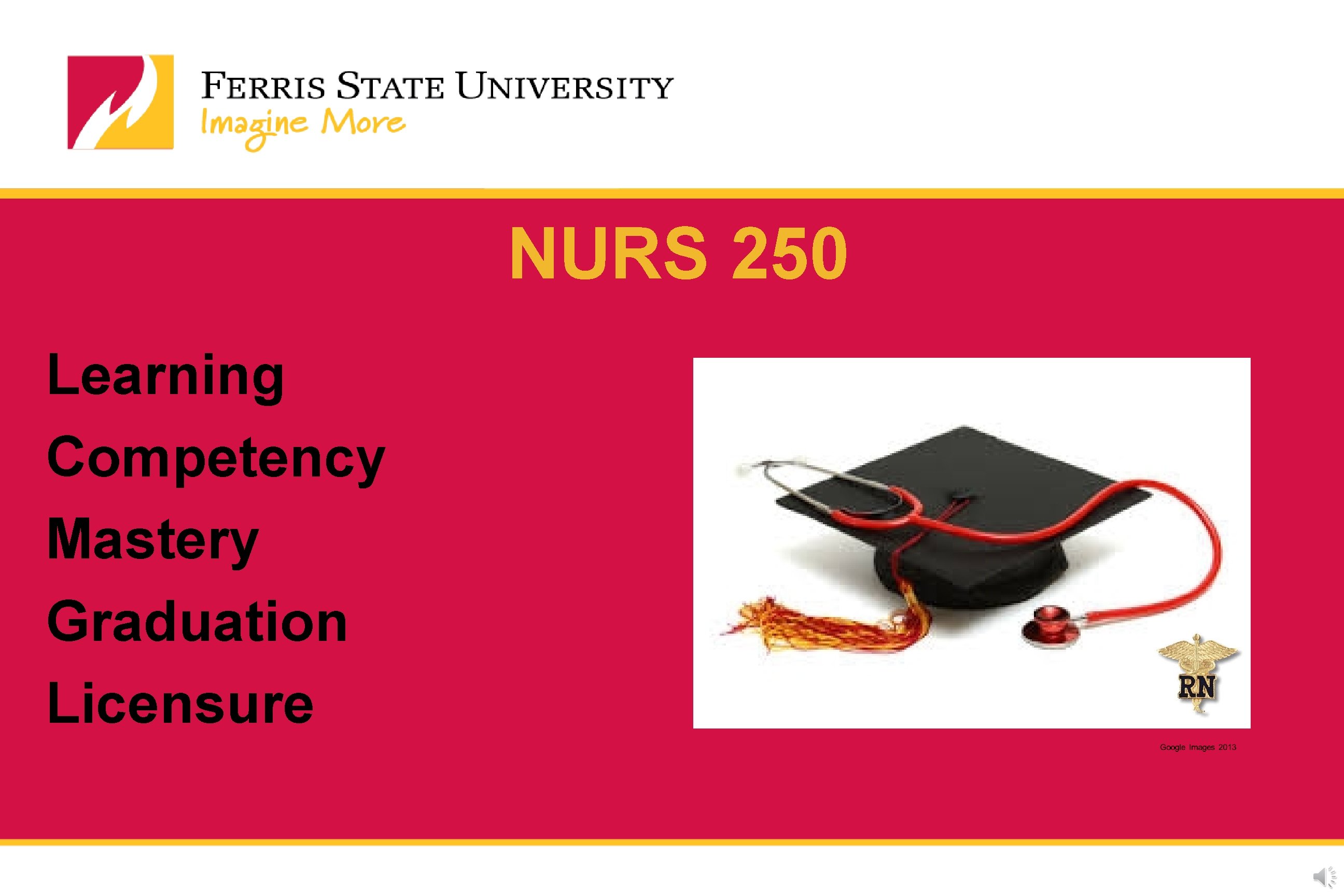 NURS 250 Learning Competency Mastery Graduation Licensure NURS 250 Learning Competency Mastery Graduation Licensure