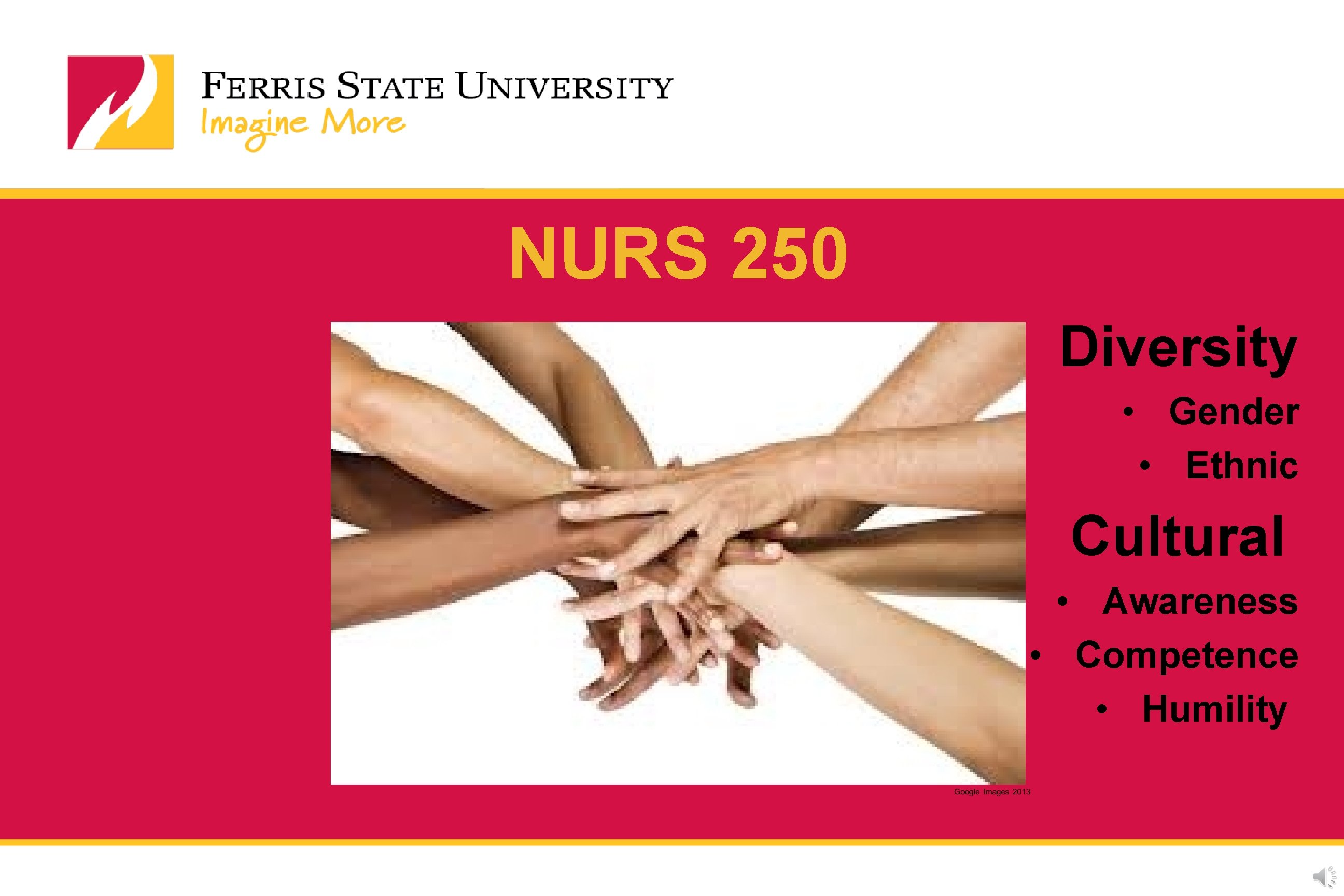 NURS 250 Diversity • Gender • Ethnic Cultural • Awareness • Competence • Humility NURS 250 Diversity • Gender • Ethnic Cultural • Awareness • Competence • Humility