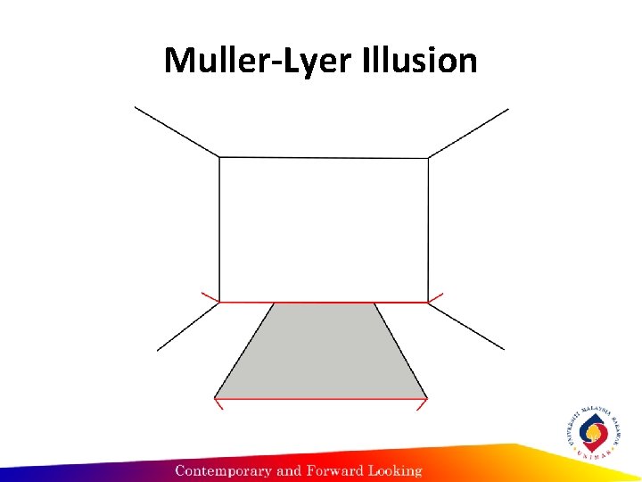Muller-Lyer Illusion 