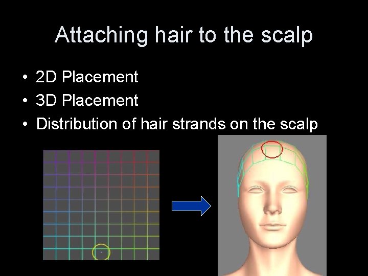 Attaching hair to the scalp • 2 D Placement • 3 D Placement •