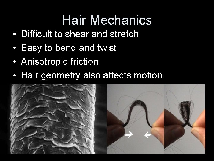 Hair Mechanics • • Difficult to shear and stretch Easy to bend and twist