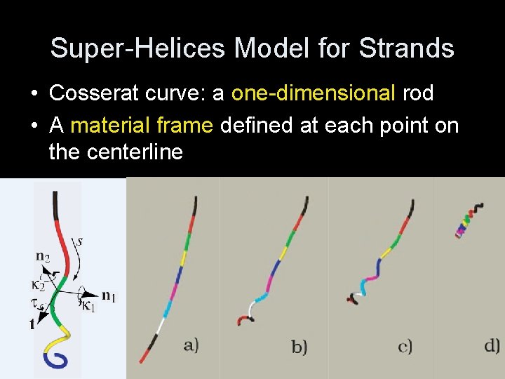 Super-Helices Model for Strands • Cosserat curve: a one-dimensional rod • A material frame