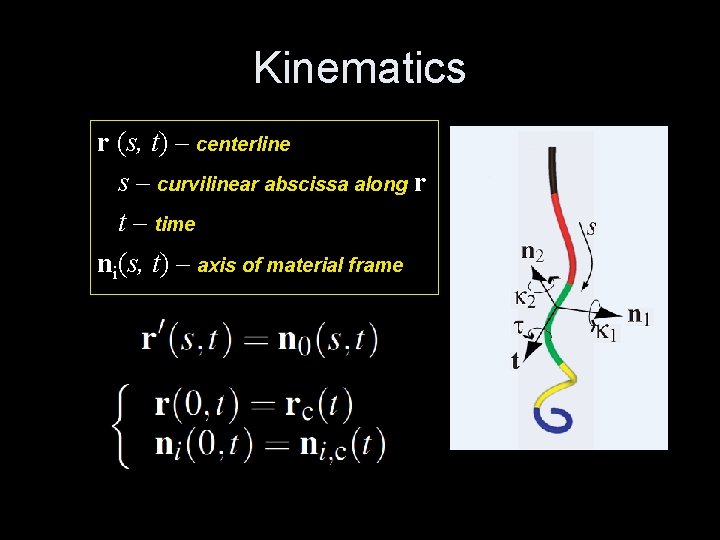 Kinematics r (s, t) – centerline s – curvilinear abscissa along r t –