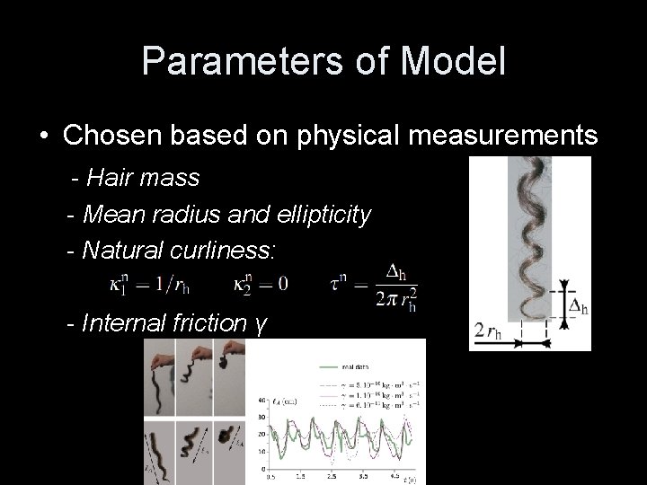 Parameters of Model • Chosen based on physical measurements - Hair mass - Mean