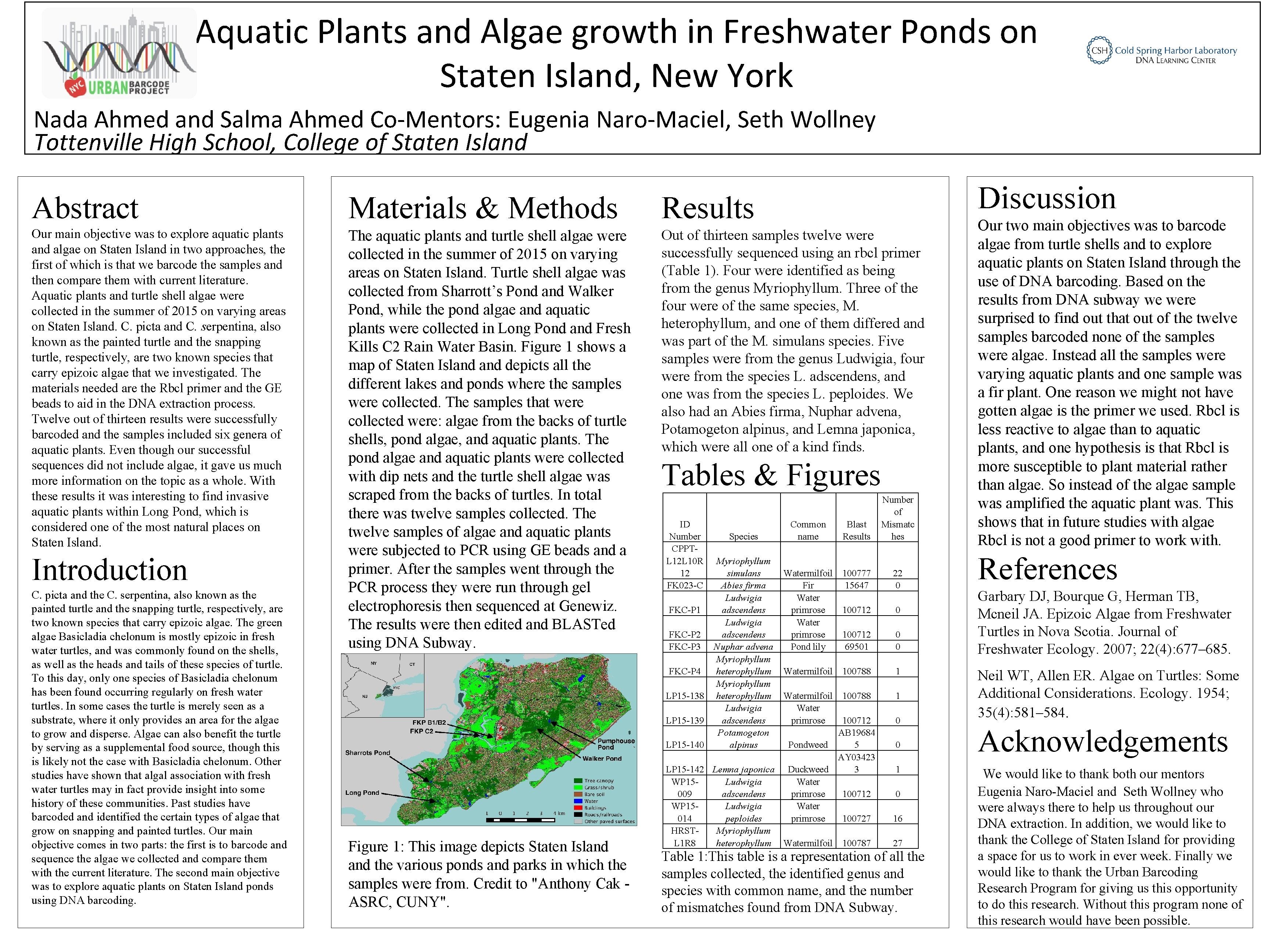 Aquatic Plants and Algae growth in Freshwater Ponds on Staten Island, New York Nada