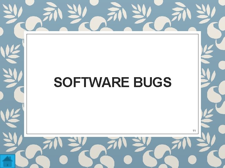 SOFTWARE BUGS 11 
