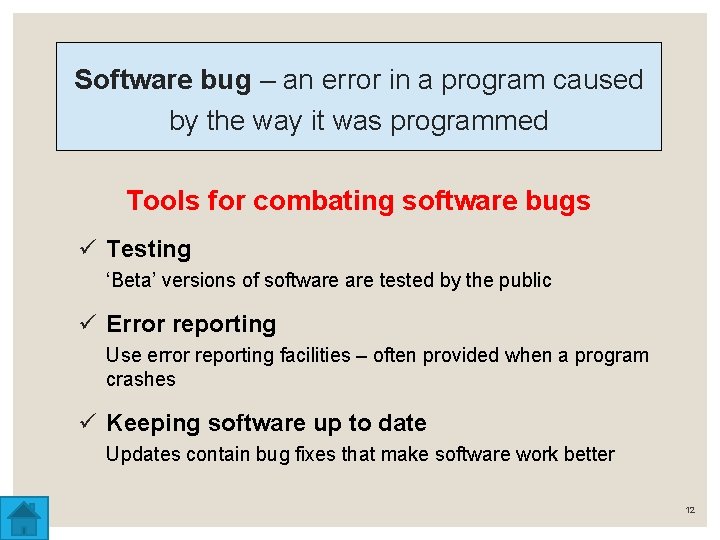 Software bug – an error in a program caused by the way it was