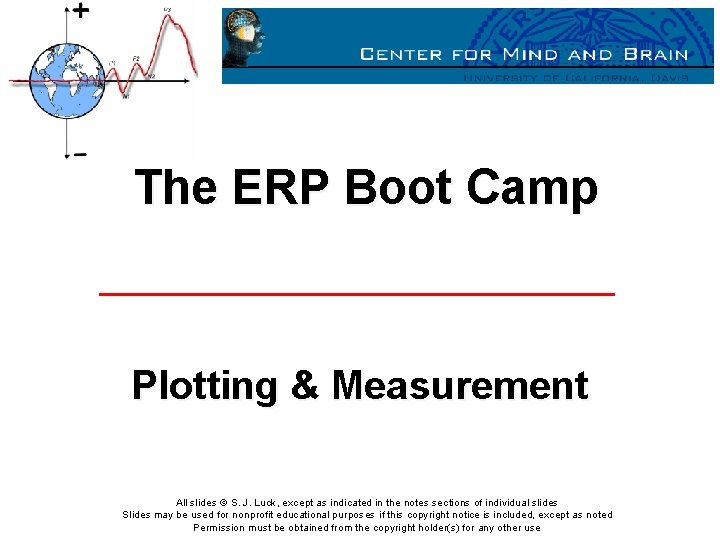 The ERP Boot Camp Plotting & Measurement All slides © S. J. Luck, except