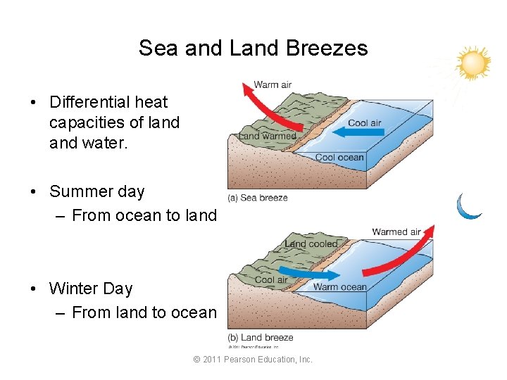 Sea and Land Breezes • Differential heat capacities of land water. • Summer day