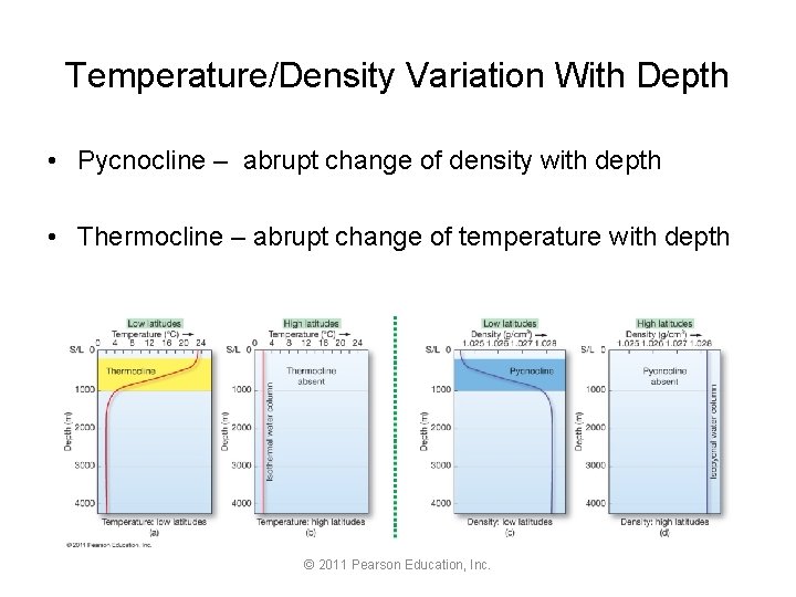 Temperature/Density Variation With Depth • Pycnocline – abrupt change of density with depth •