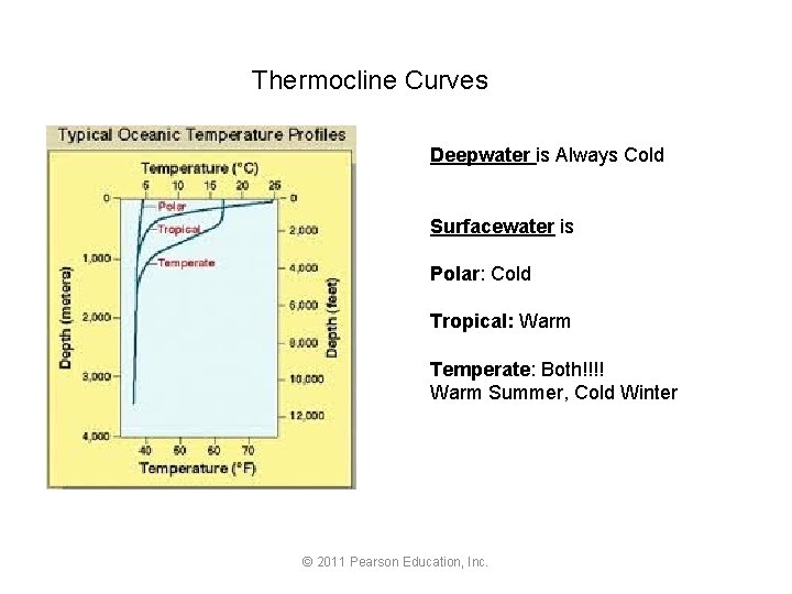 Thermocline Curves Deepwater is Always Cold Surfacewater is Polar: Cold Tropical: Warm Temperate: Both!!!!
