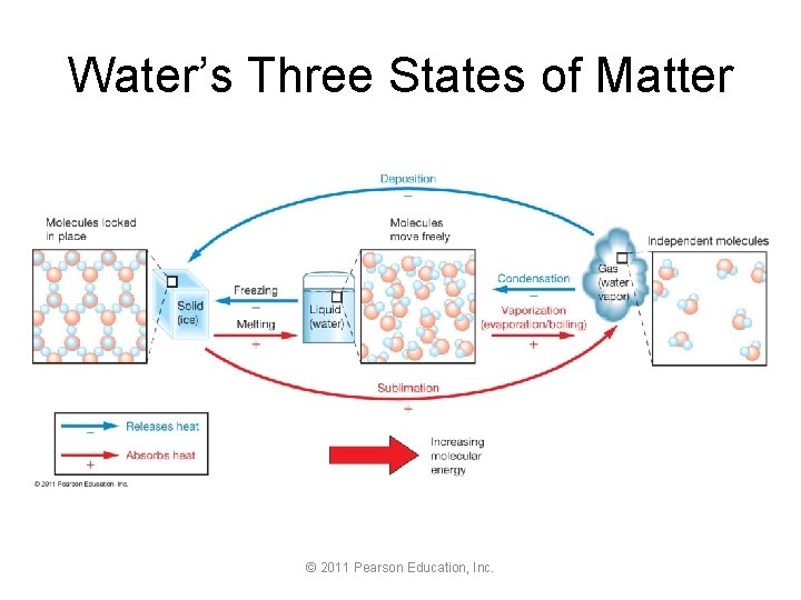 Water’s Three States of Matter © 2011 Pearson Education, Inc. 