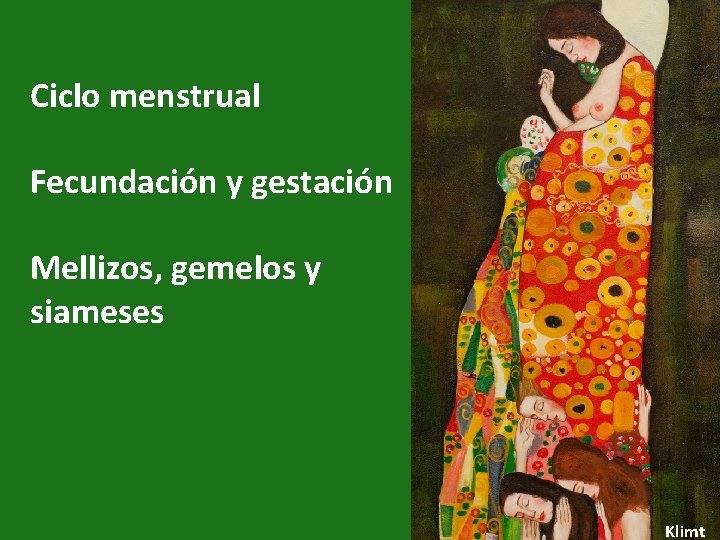 Ciclo menstrual Fecundación y gestación Mellizos, gemelos y siameses 1 Klimt 