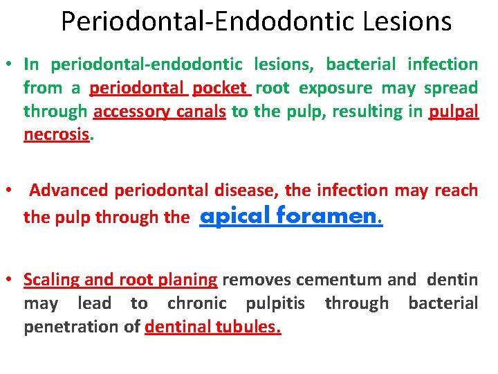 Periodontal-Endodontic Lesions • In periodontal-endodontic lesions, bacterial infection from a periodontal pocket root exposure Periodontal-Endodontic Lesions • In periodontal-endodontic lesions, bacterial infection from a periodontal pocket root exposure