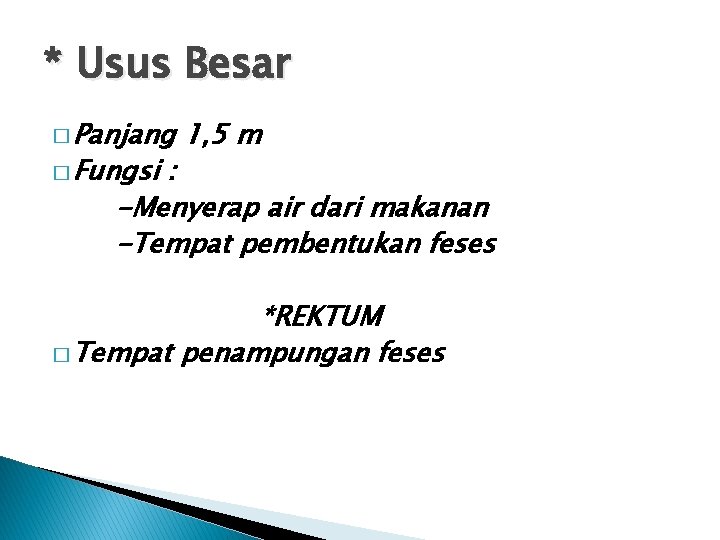 * Usus Besar � Panjang � Fungsi 1, 5 m : -Menyerap air dari