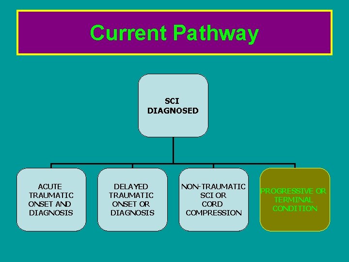 Current Pathway SCI DIAGNOSED ACUTE TRAUMATIC ONSET AND DIAGNOSIS DELAYED TRAUMATIC ONSET OR DIAGNOSIS Current Pathway SCI DIAGNOSED ACUTE TRAUMATIC ONSET AND DIAGNOSIS DELAYED TRAUMATIC ONSET OR DIAGNOSIS